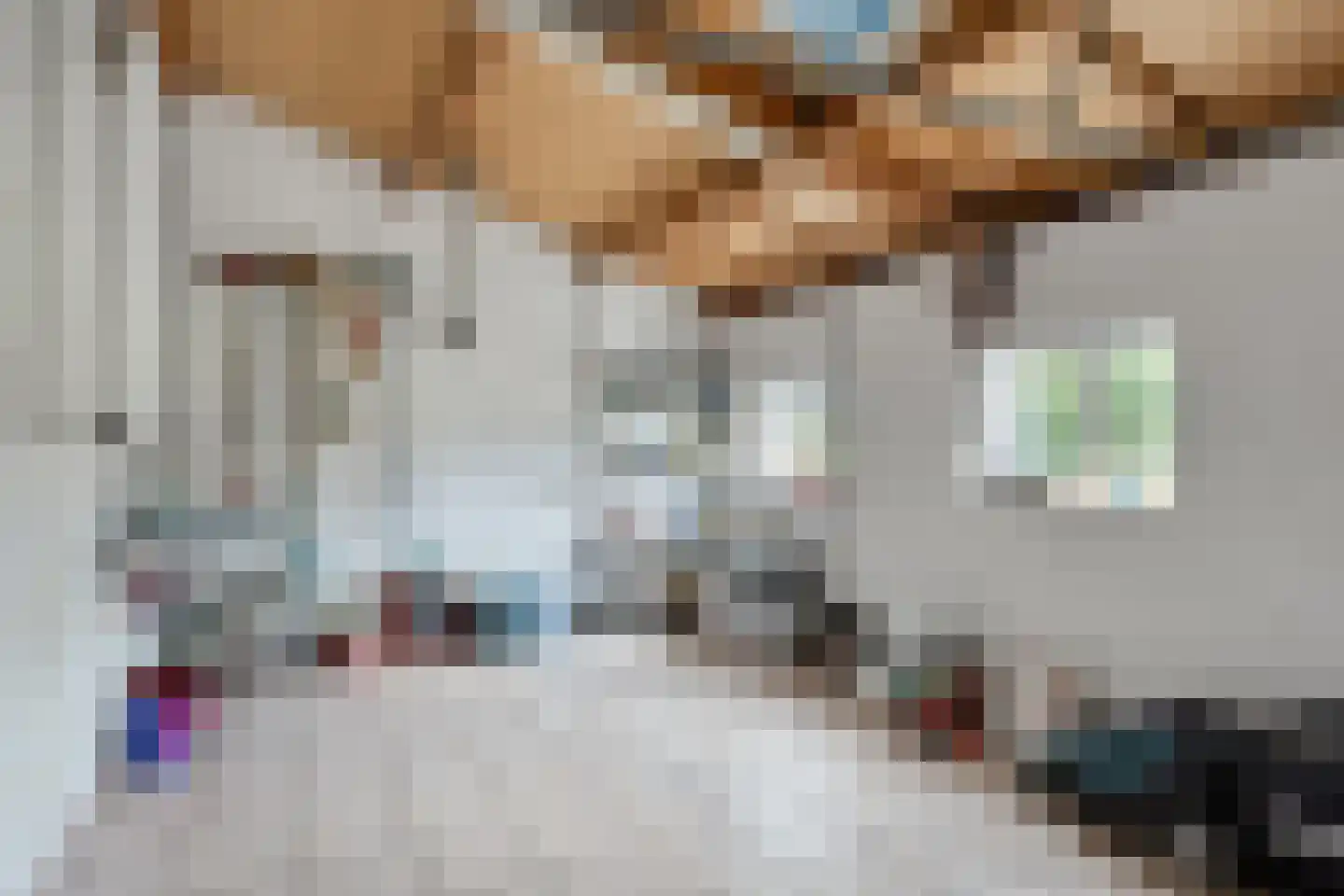 Peelstraat 3 Wanroij thumbnail 30