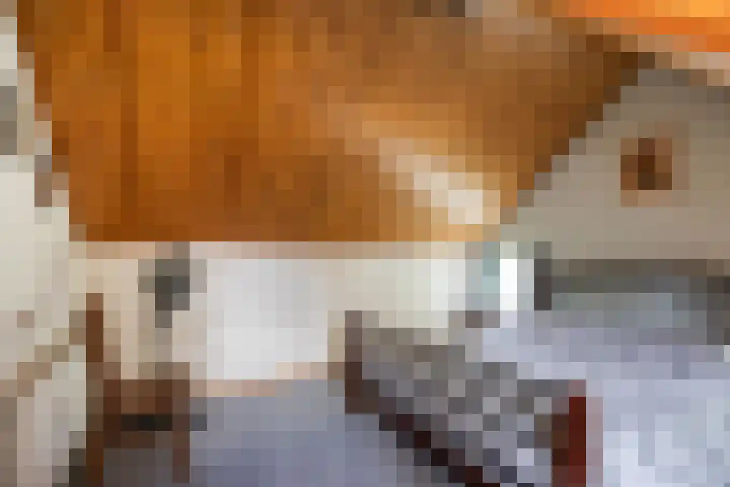 Peelstraat 3 Wanroij thumbnail 34