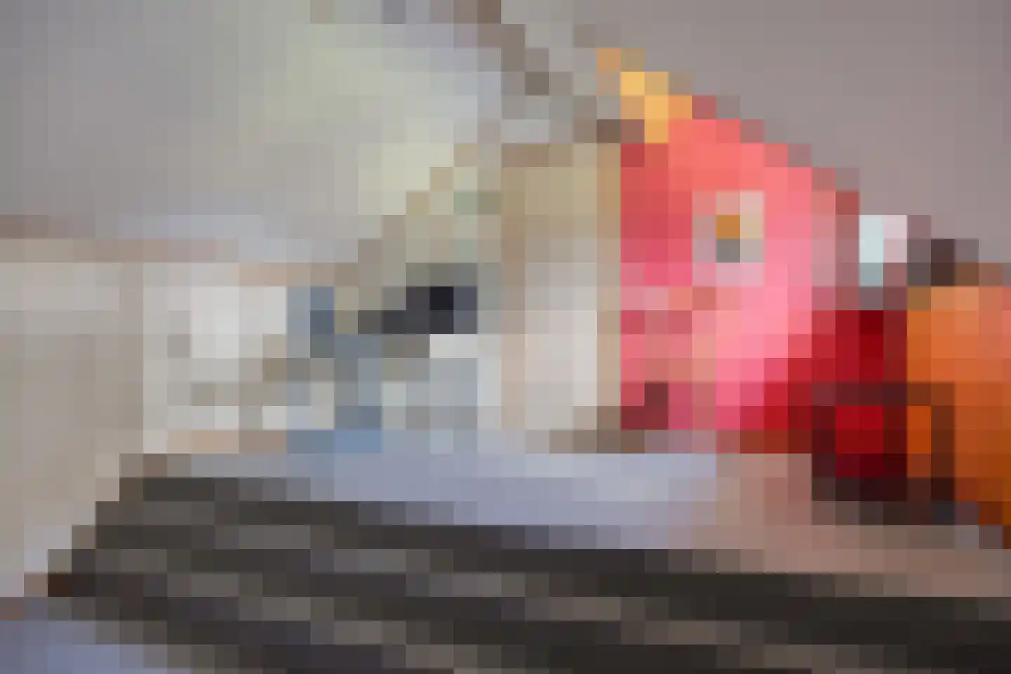Peelstraat 3 Wanroij thumbnail 35