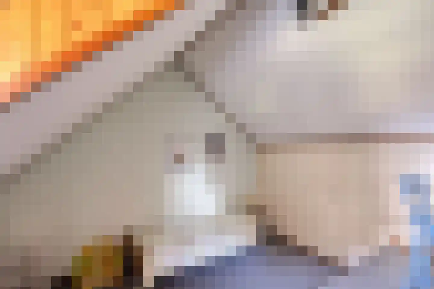 Peelstraat 3 Wanroij thumbnail 36
