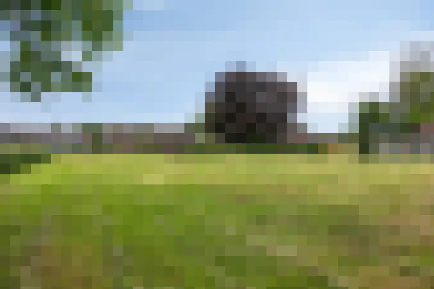 Peelstraat 3 Wanroij thumbnail 40