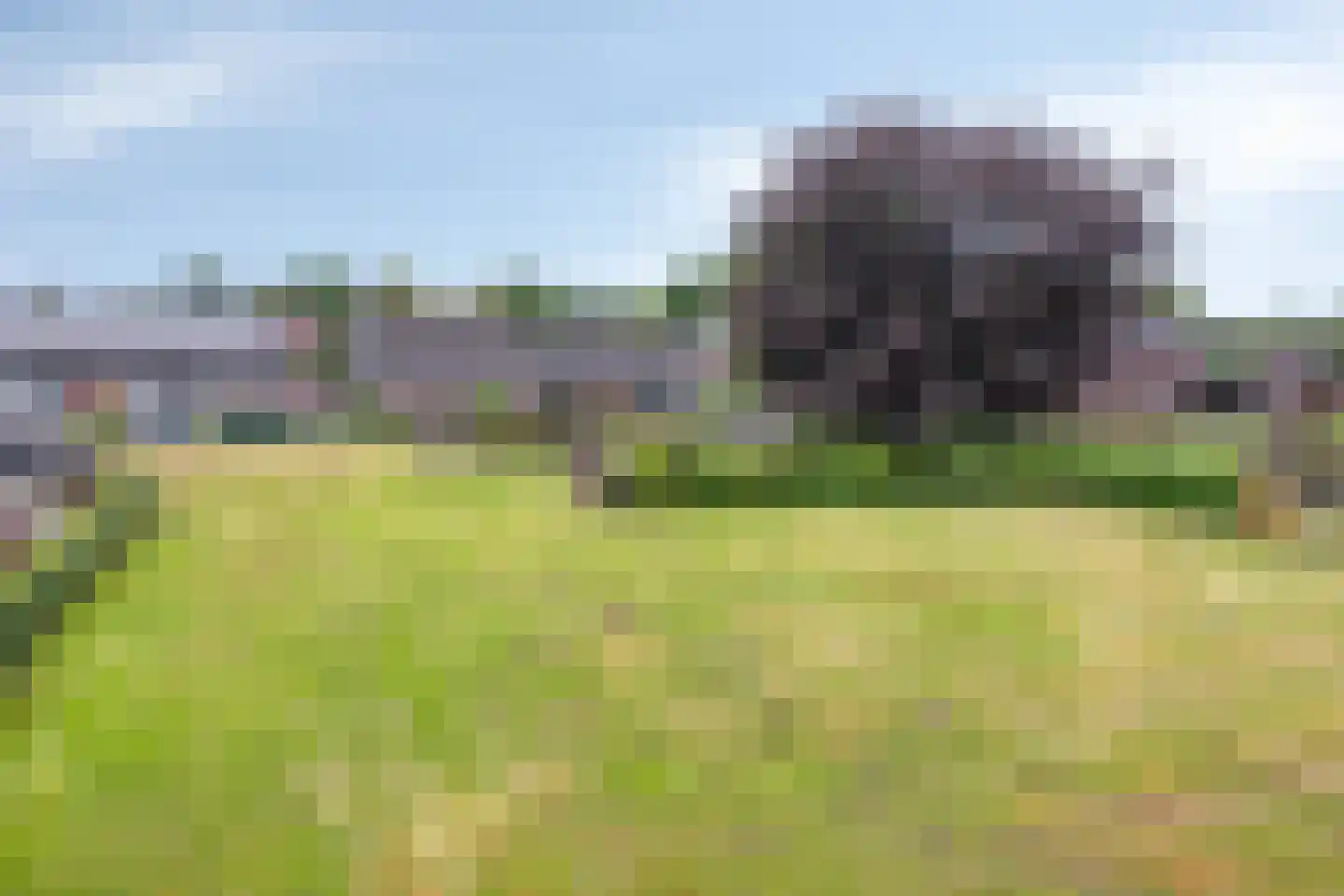Peelstraat 3 Wanroij thumbnail 41
