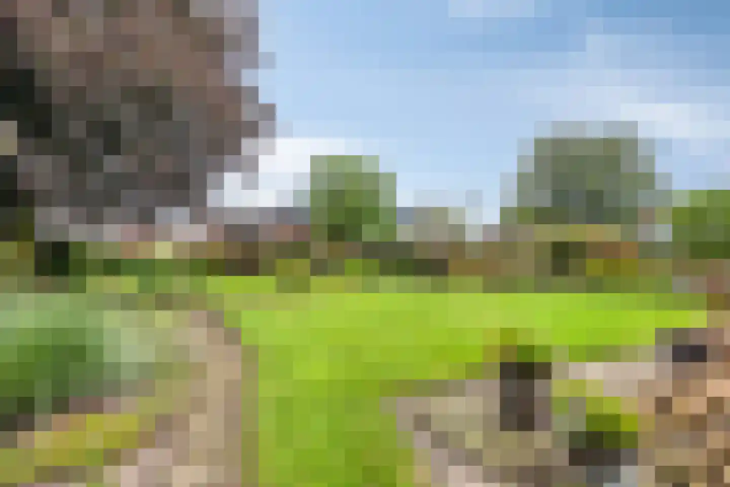 Peelstraat 3 Wanroij thumbnail 42