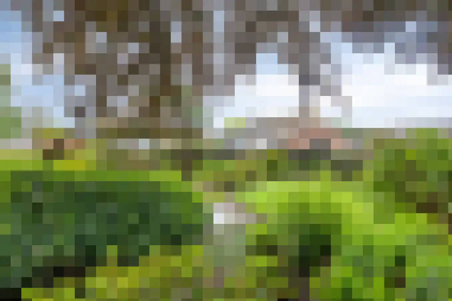 Peelstraat 3 Wanroij thumbnail 43