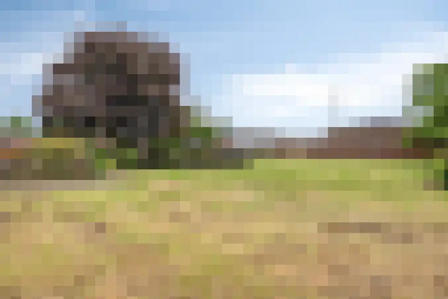Peelstraat 3 Wanroij thumbnail 45