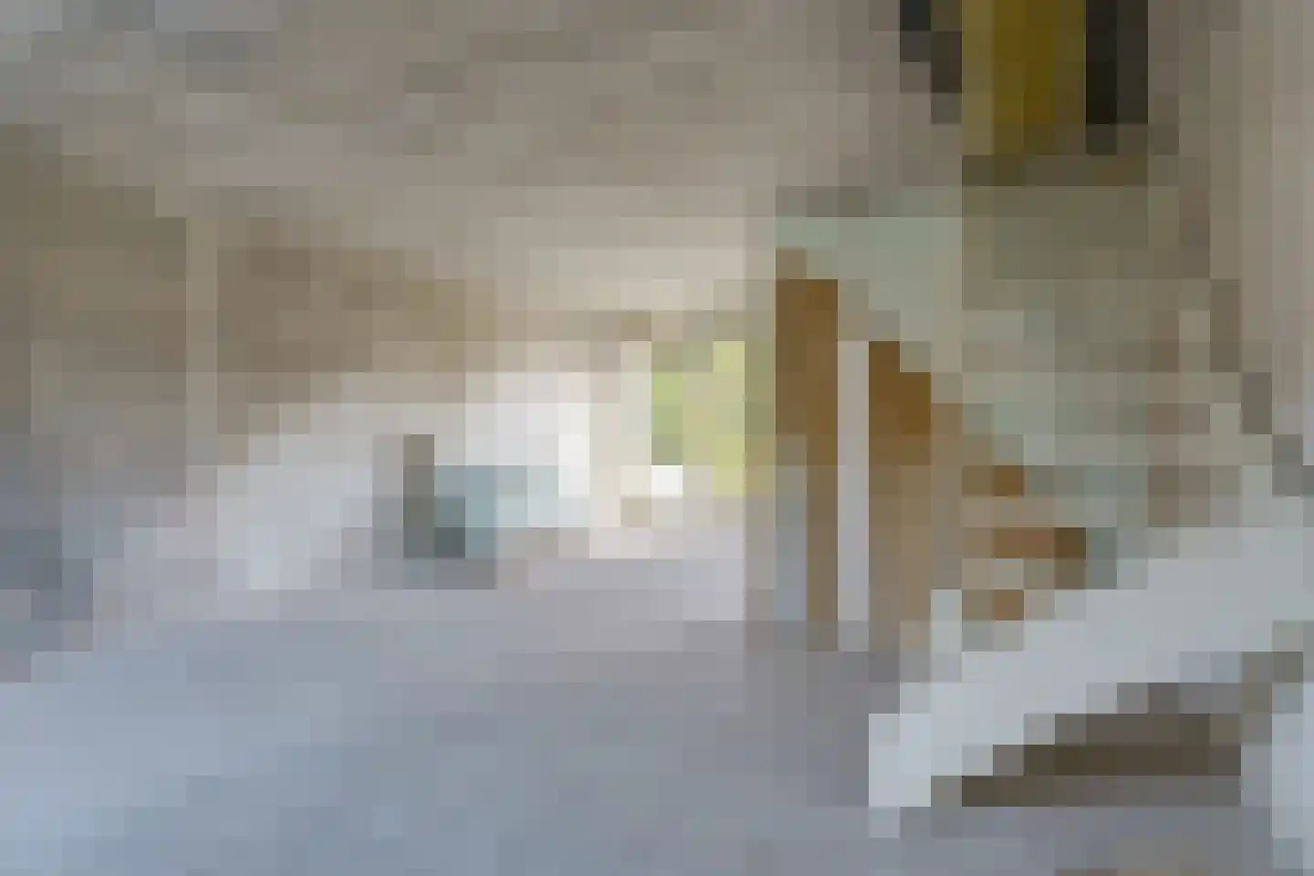 Peelstraat 43 Aarle-Rixtel thumbnail 11