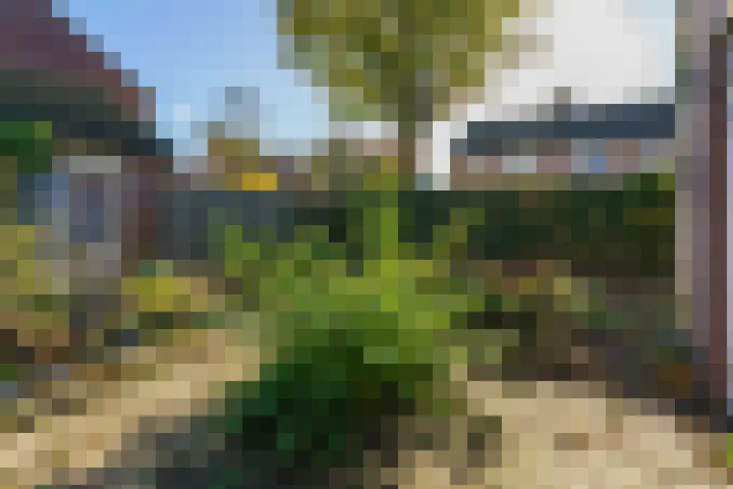 Peelstraat 43 Aarle-Rixtel thumbnail 36