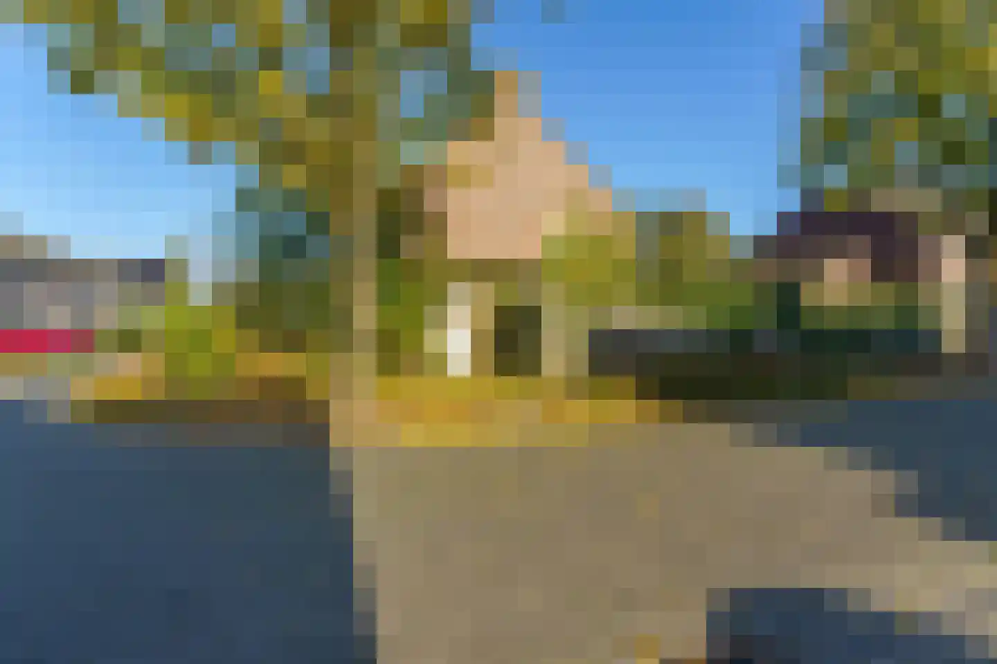 Peelstraat 43 Aarle-Rixtel thumbnail 5