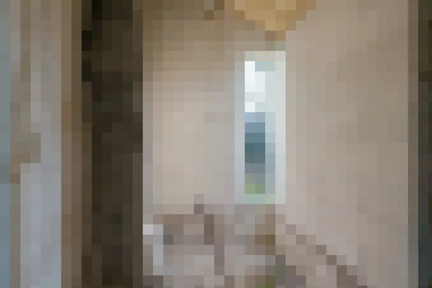 Peelstraat 43 Aarle-Rixtel thumbnail 7