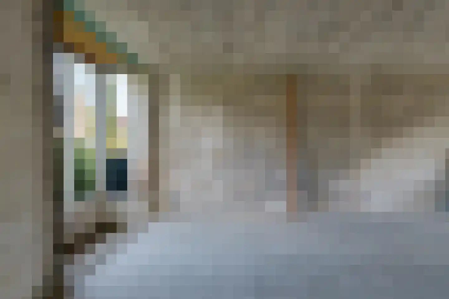 Peelstraat 43 Aarle-Rixtel thumbnail 9