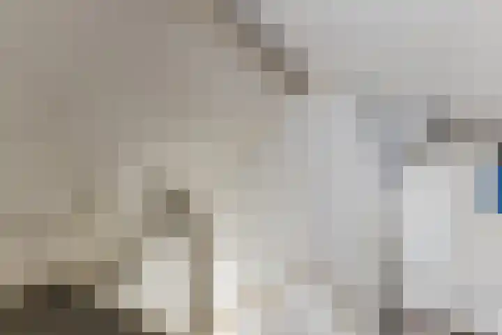 Peelstraat 9 Beverwijk thumbnail 46