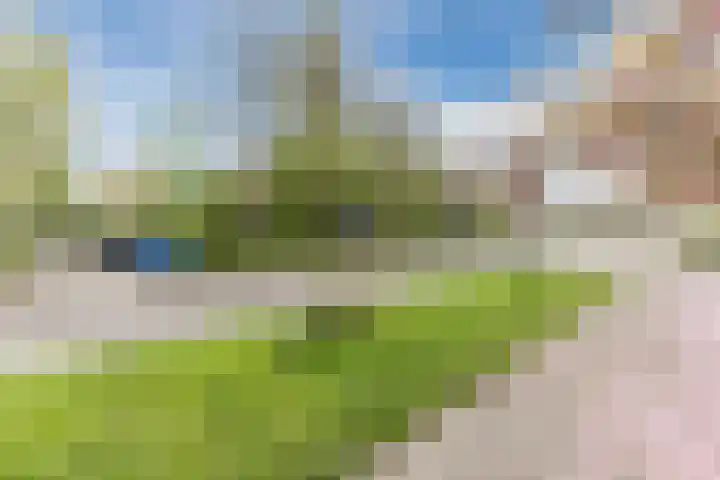 Peelstraat 9 Beverwijk thumbnail 49