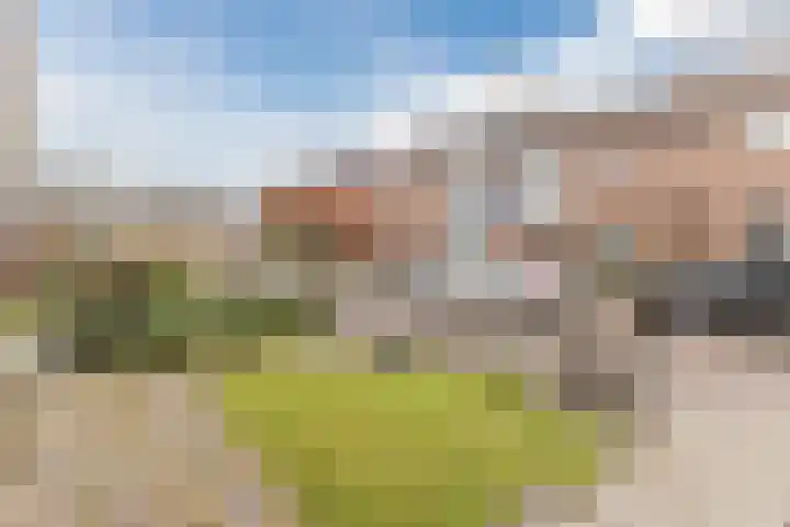 Peelstraat 9 Beverwijk thumbnail 52