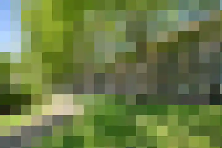 Peelstraat 9 Beverwijk thumbnail 9