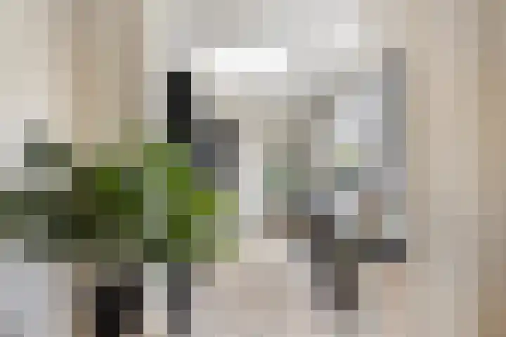 Peelveldlaan 51 Swalmen thumbnail 11