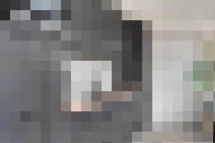 Peelveldlaan 51 Swalmen thumbnail 13