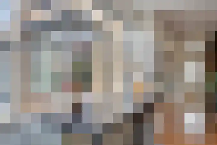Peelveldlaan 51 Swalmen thumbnail 14