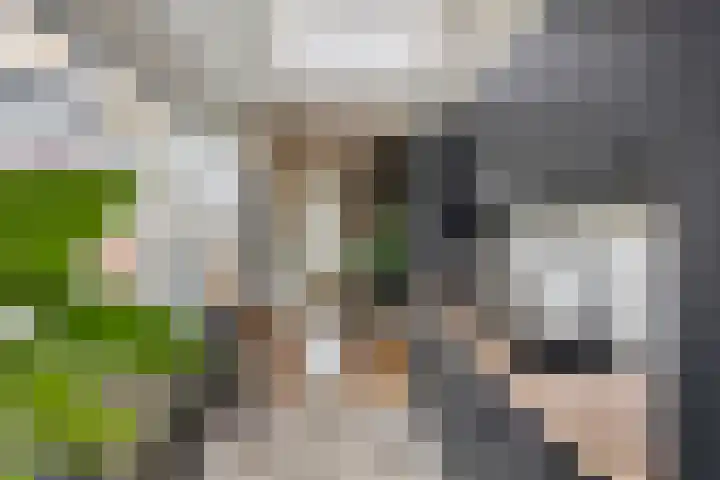 Peelveldlaan 51 Swalmen thumbnail 15