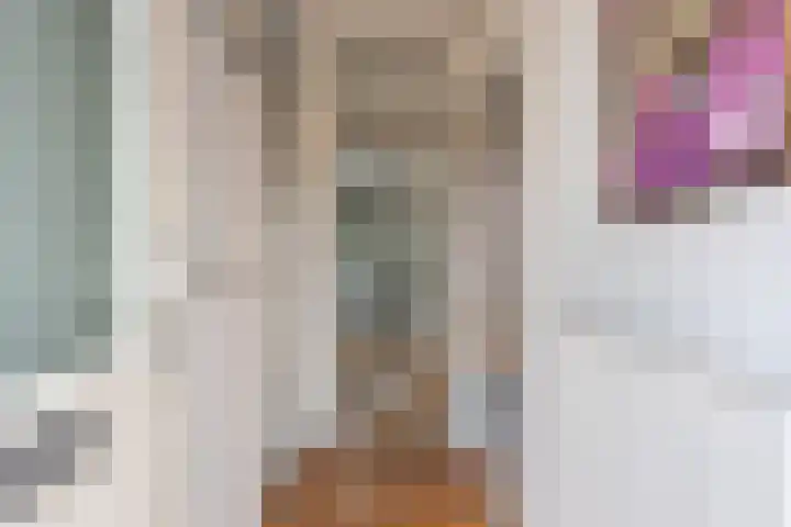 Peelveldlaan 51 Swalmen thumbnail 18