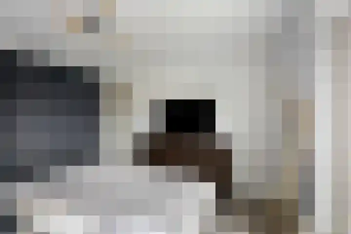 Peelveldlaan 51 Swalmen thumbnail 22