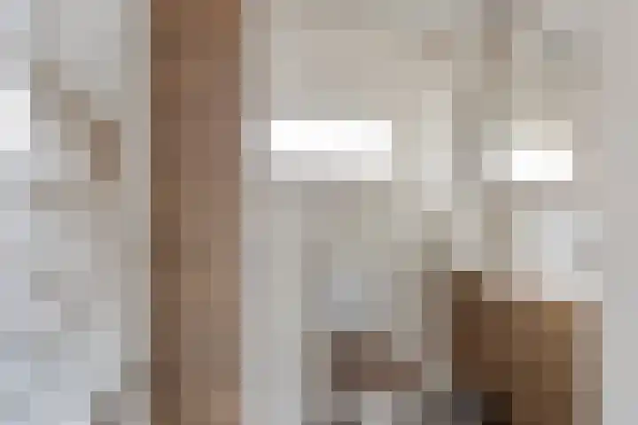 Peelveldlaan 51 Swalmen thumbnail 23