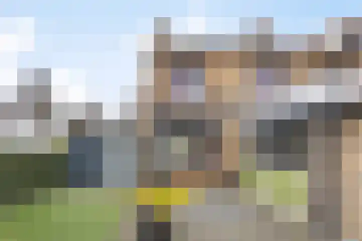 Peelveldlaan 51 Swalmen thumbnail 31
