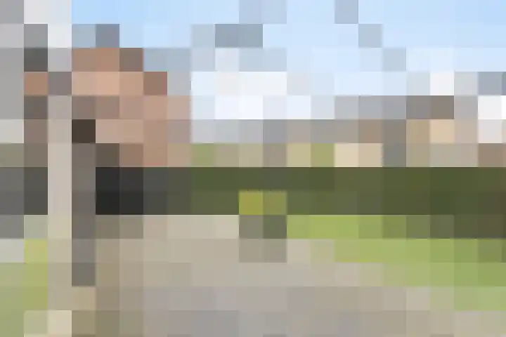 Peelveldlaan 51 Swalmen thumbnail 32