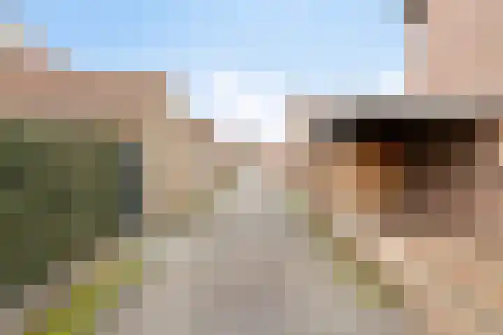 Peelveldlaan 51 Swalmen thumbnail 35