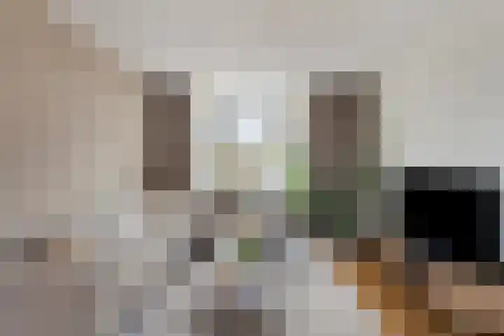 Peelveldlaan 51 Swalmen thumbnail 4