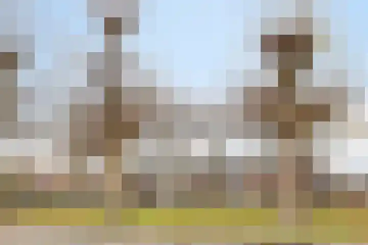 Peelveldlaan 51 Swalmen thumbnail 40