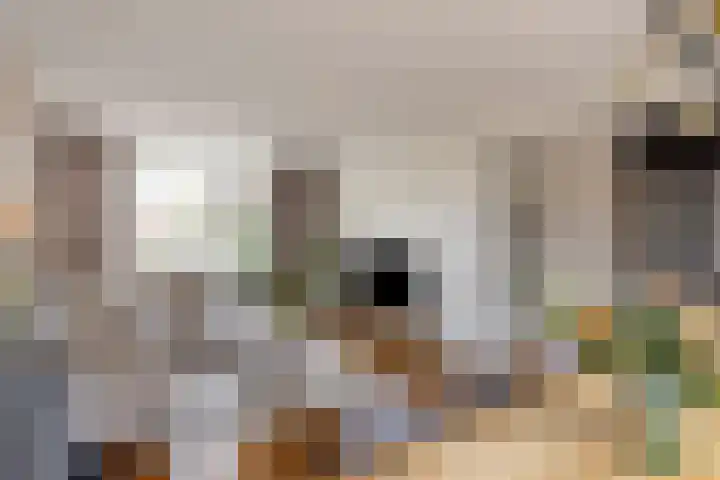 Peelveldlaan 51 Swalmen thumbnail 5