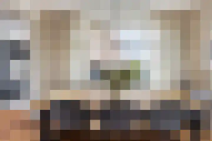 Peelveldlaan 51 Swalmen thumbnail 7