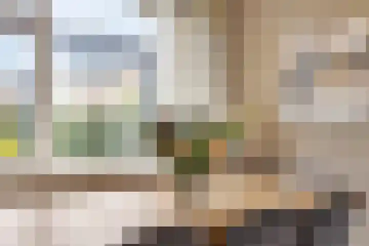 Peelveldlaan 51 Swalmen thumbnail 8