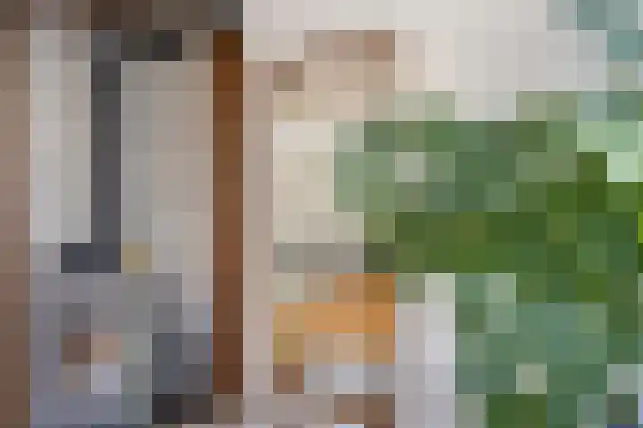 Peelveldlaan 51 Swalmen thumbnail 9
