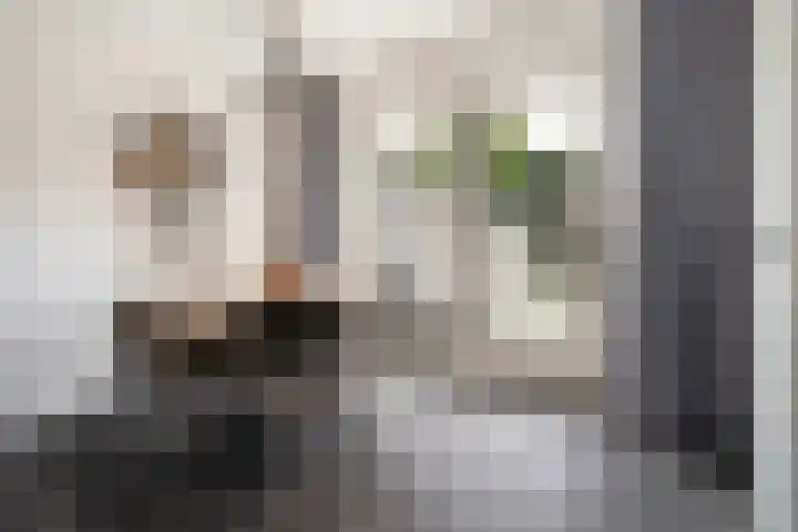 Peelven 13 Deurne thumbnail 12