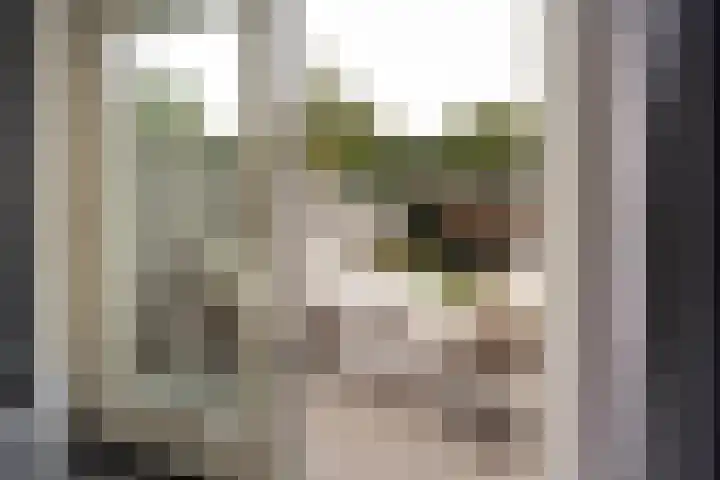 Peelven 13 Deurne thumbnail 13