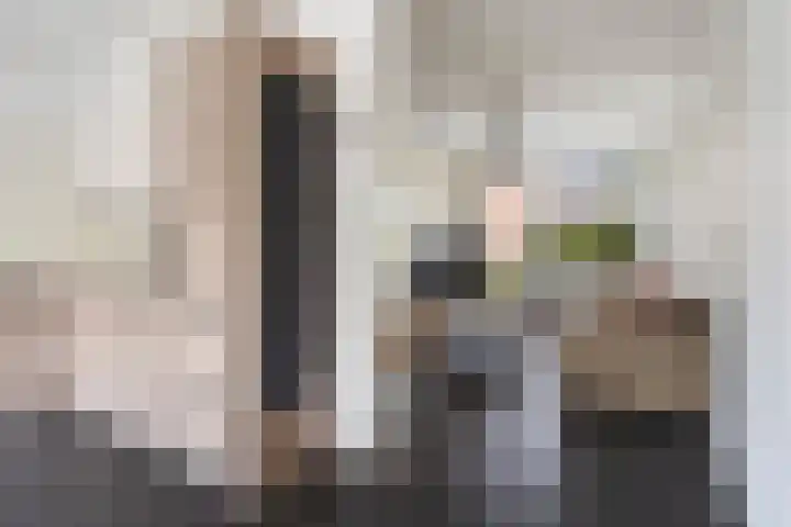 Peelven 13 Deurne thumbnail 14
