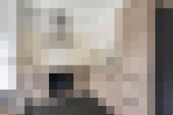 Peelven 13 Deurne thumbnail 15