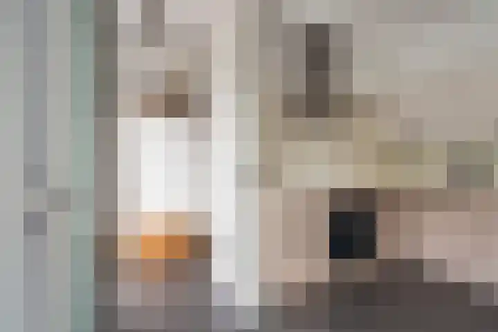 Peelven 13 Deurne thumbnail 18