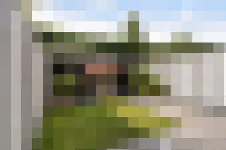 Peelven 13 Deurne thumbnail 19