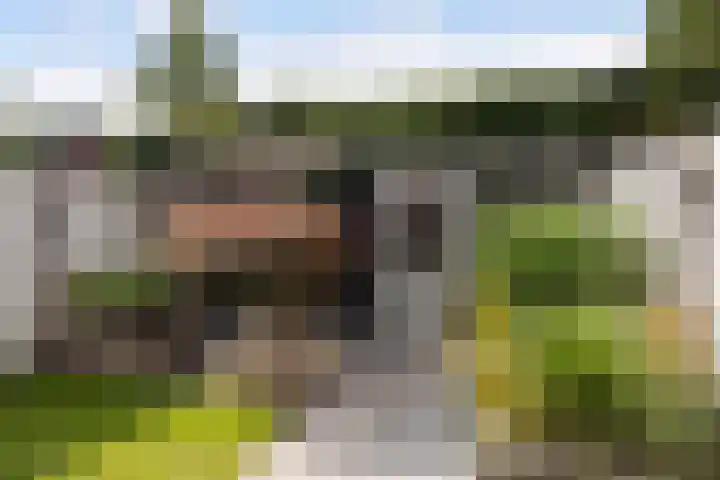 Peelven 13 Deurne thumbnail 20