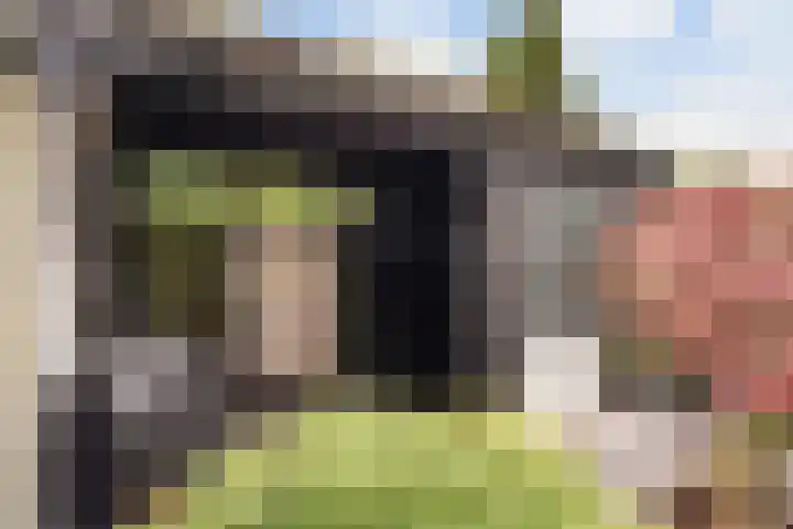 Peelven 13 Deurne thumbnail 21