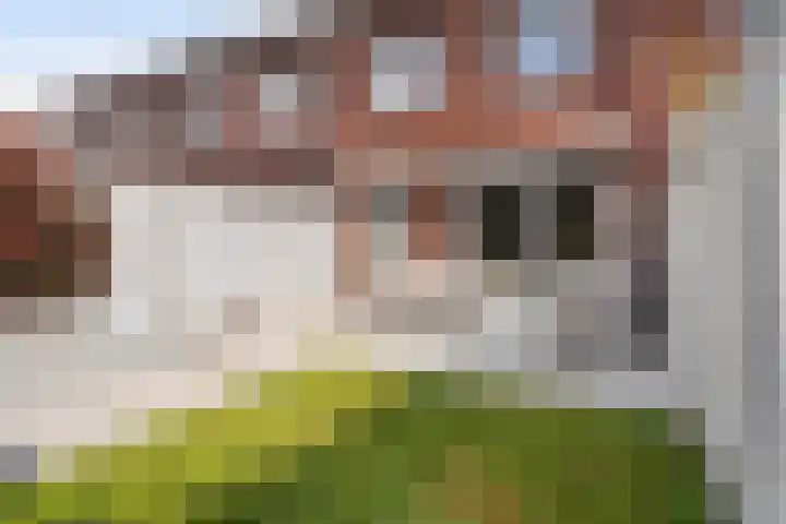Peelven 13 Deurne thumbnail 22