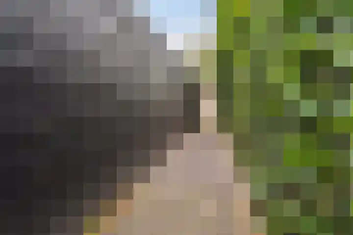 Peelven 13 Deurne thumbnail 24