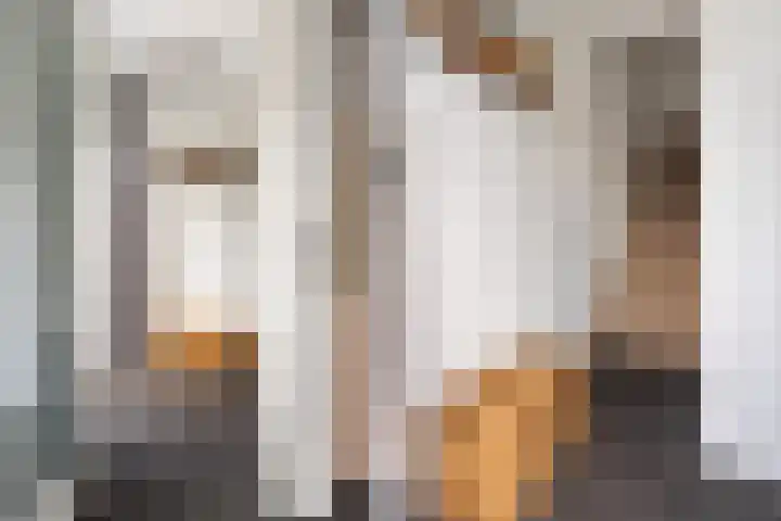 Peelven 13 Deurne thumbnail 25