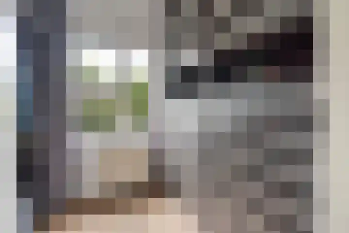 Peelven 13 Deurne thumbnail 30