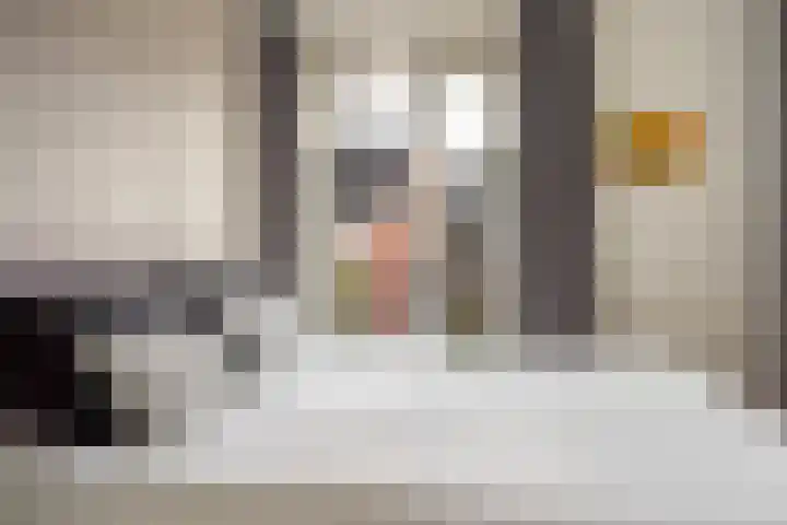 Peelven 13 Deurne thumbnail 33
