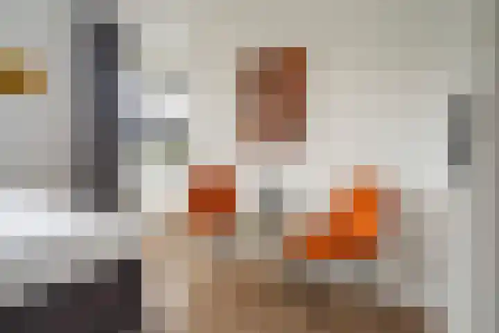 Peelven 13 Deurne thumbnail 34
