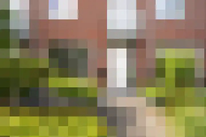 Peelven 13 Deurne thumbnail 4