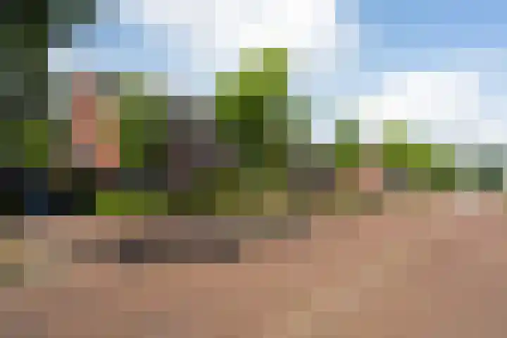 Peelven 13 Deurne thumbnail 49